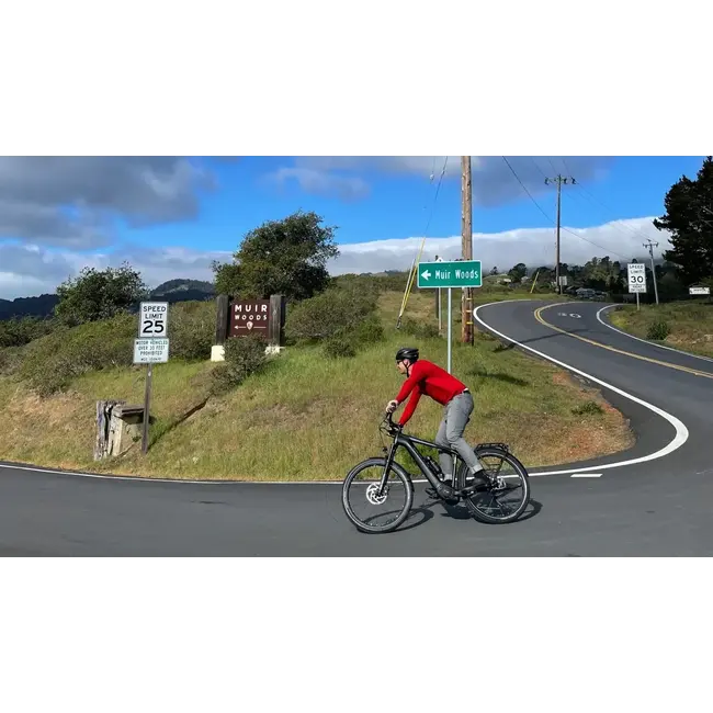 BULLS Iconic EVO 2 Speed Electric Bike