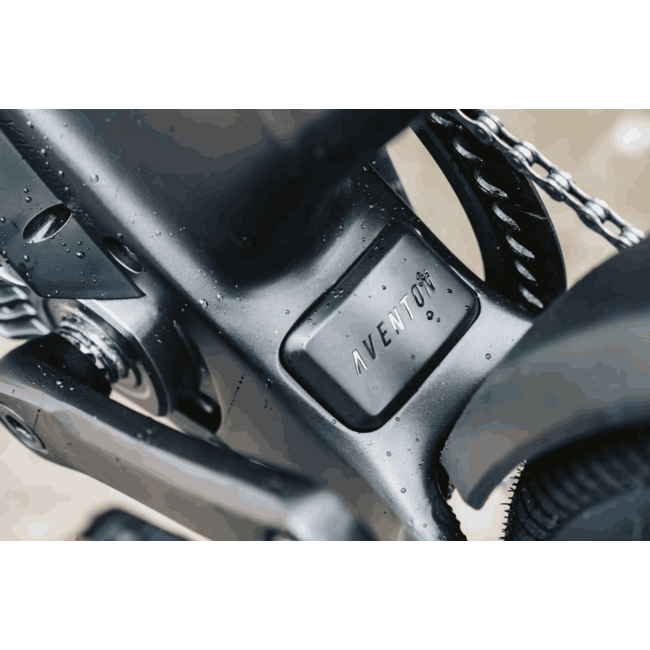 Aventon Level 4 ADV Ebike