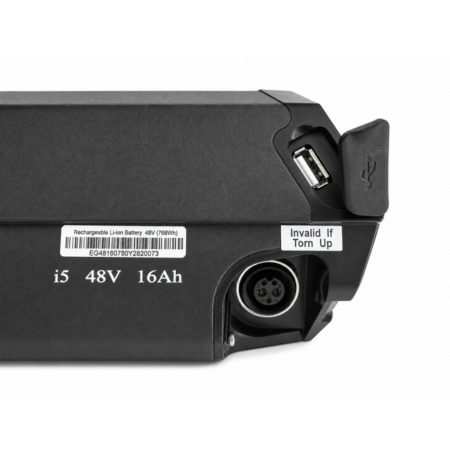 Reention Dorado+ i5 Batterie de vélo électrique 48V 16Ah 768Wh