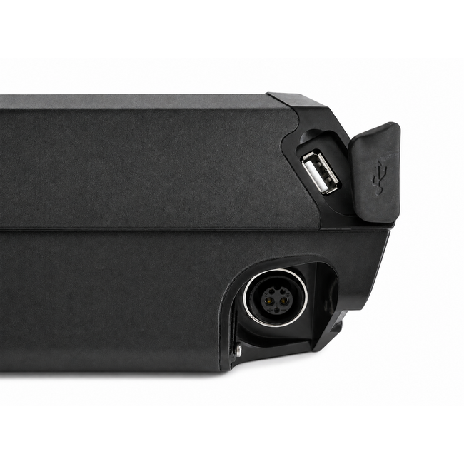Reention Dorado+ 21700 E-Bike Battery 48V 21Ah - Samsung Cells