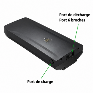 ECHO SPORTS Batterie supplémentaire 48V 15Ah – 720Wh pour vélo électrique avec chargeur