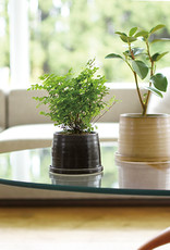 Kinto - Pot à plante 110 mm - Beige