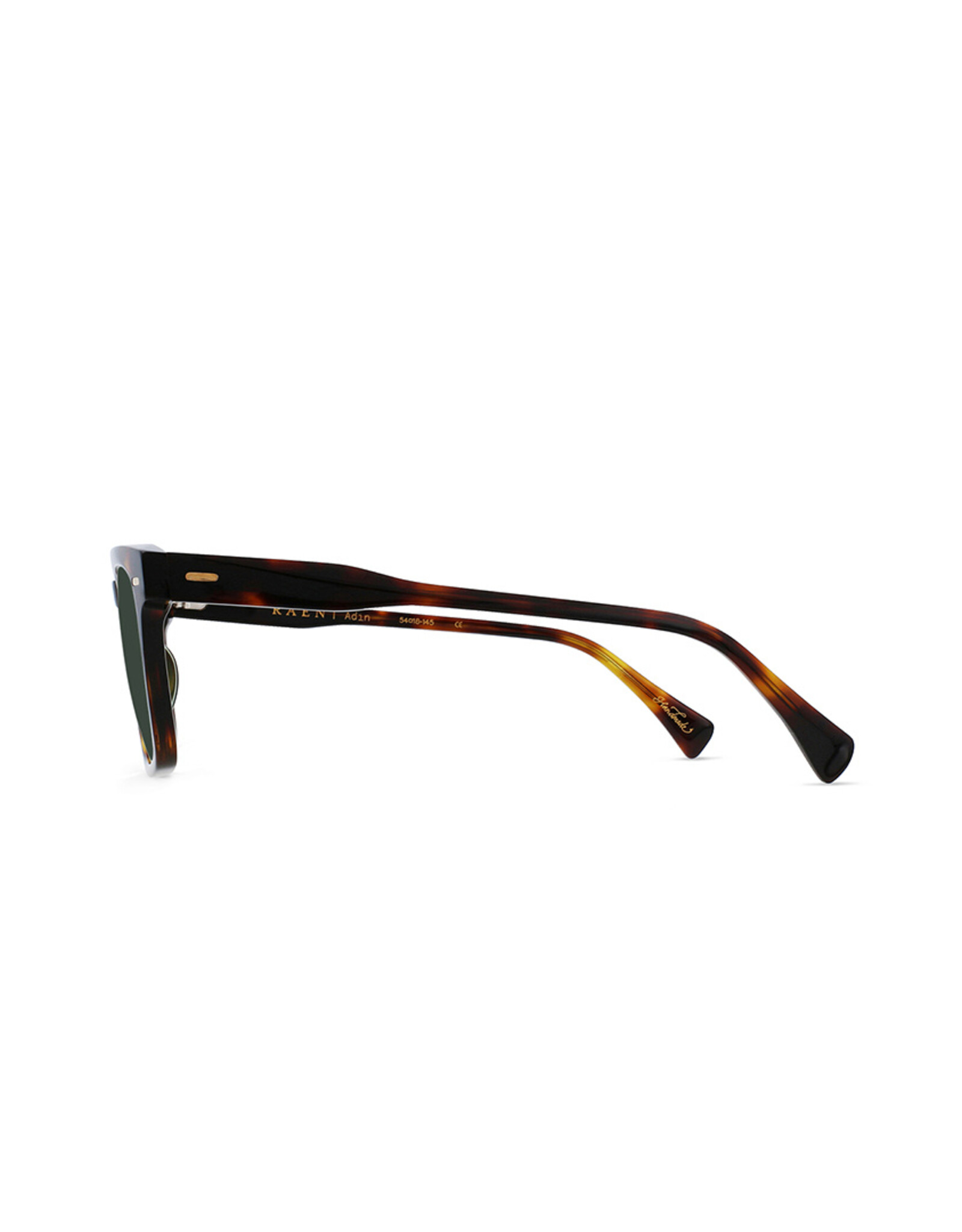 Raen - Adin 54 - Kola Tortoise - Green Polarized