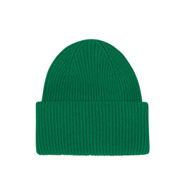 Colorful Standard - Merino Wool Hat  -  Kelly Green