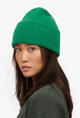 Colorful Standard - Merino Wool Hat  -  Kelly Green