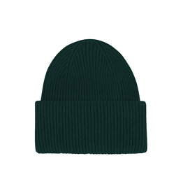 Colorful Standard - Merino Wool Hat  -  Emerald Green