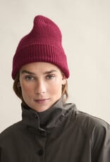 Le Bonnet - Tuque - Wine