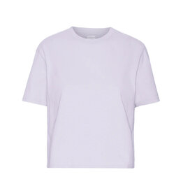 Colorful Standard - Boxy Crop Tee - Soft Lavender