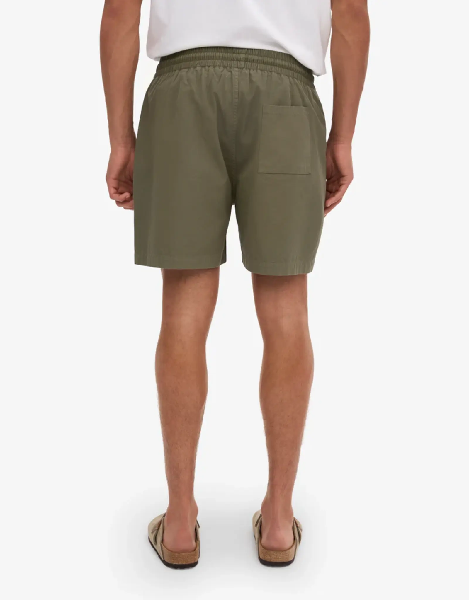 Colorful Standard - Twill Short - Dusty Olive