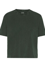 Colorful Standard - Boxy Crop Tee - Midnight Forest