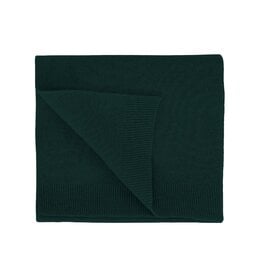 Colorful Standard - Org Active Sock - Emerald Green