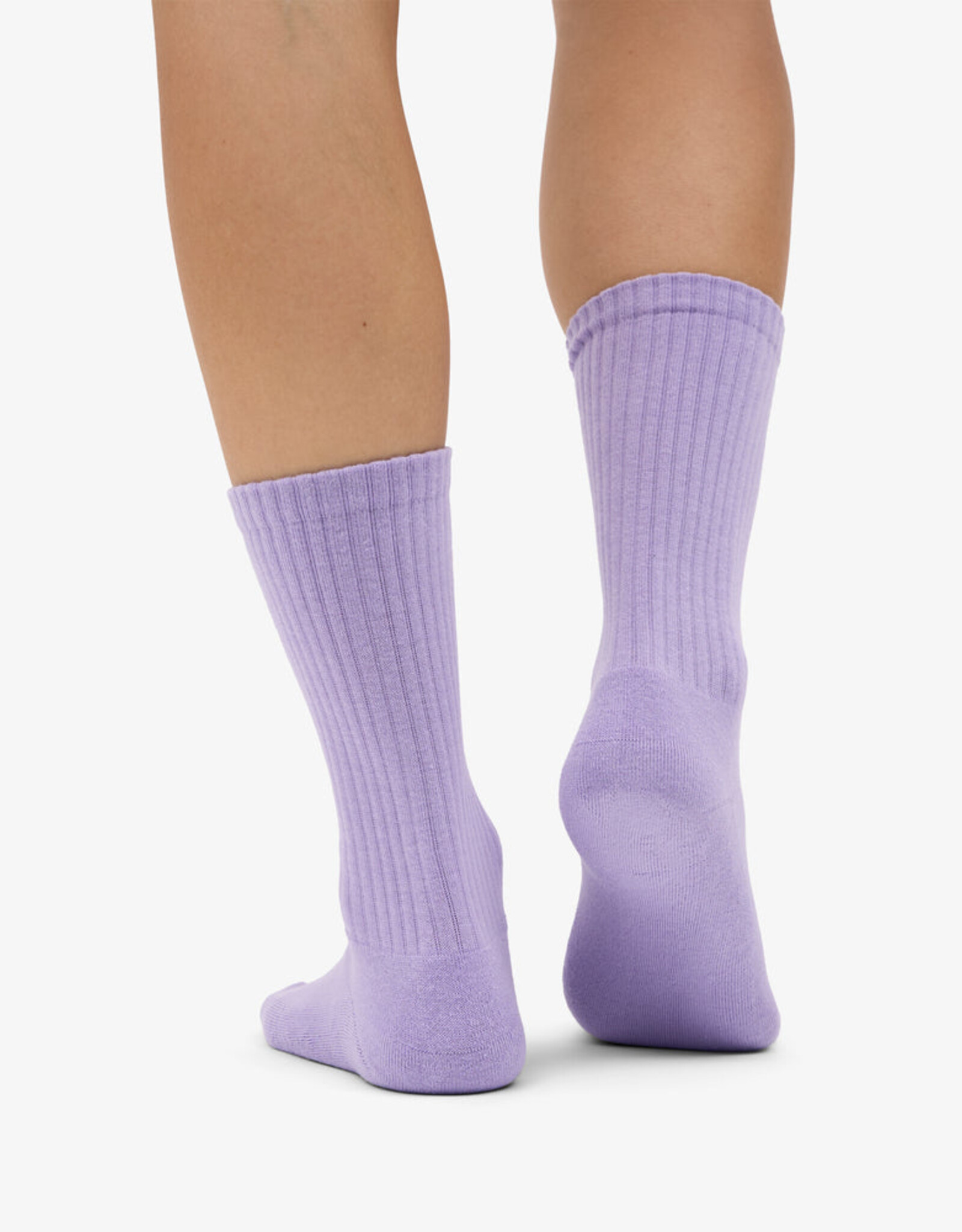 Colorful Standard - Organic Active Sock - Soft Lavender - 36/40