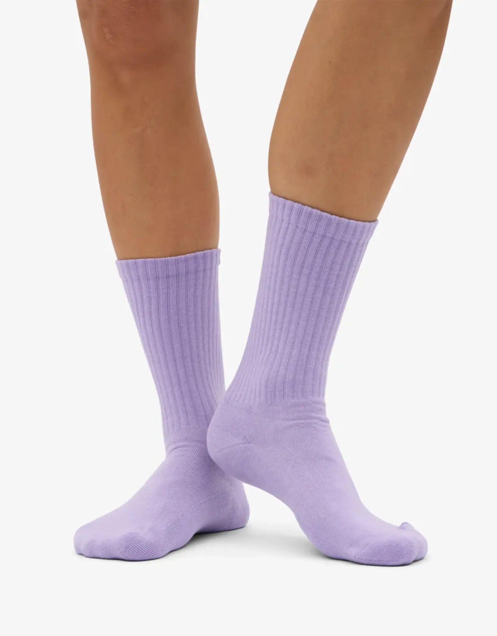 Colorful Standard - Organic Active Sock - Soft Lavender - 41/46