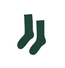 Colorful Standard - Organic Active Sock - Emerald Green - 36/40