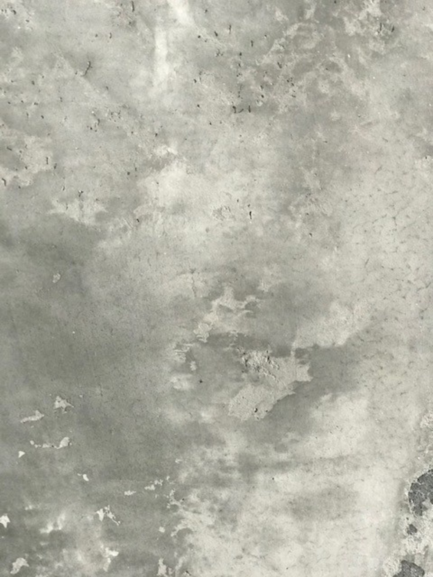 Concrete Finish With Italian Lime Plaster Brush Trowel