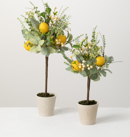 Ens. 2 citronniers décoratifs