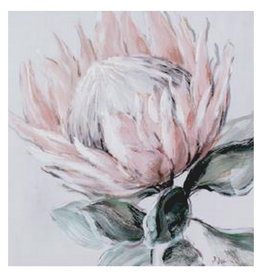 Canvas Protea 80 x 80cm