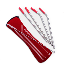 Abbott Ensemble de 4 pailles réutilisables avec brosse et étui rouge