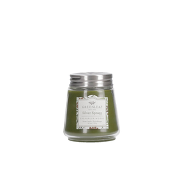 Greenleaf Petite chandelle parfumée 123g Silver Spruce
