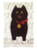 JOHN DERIAN A Cat