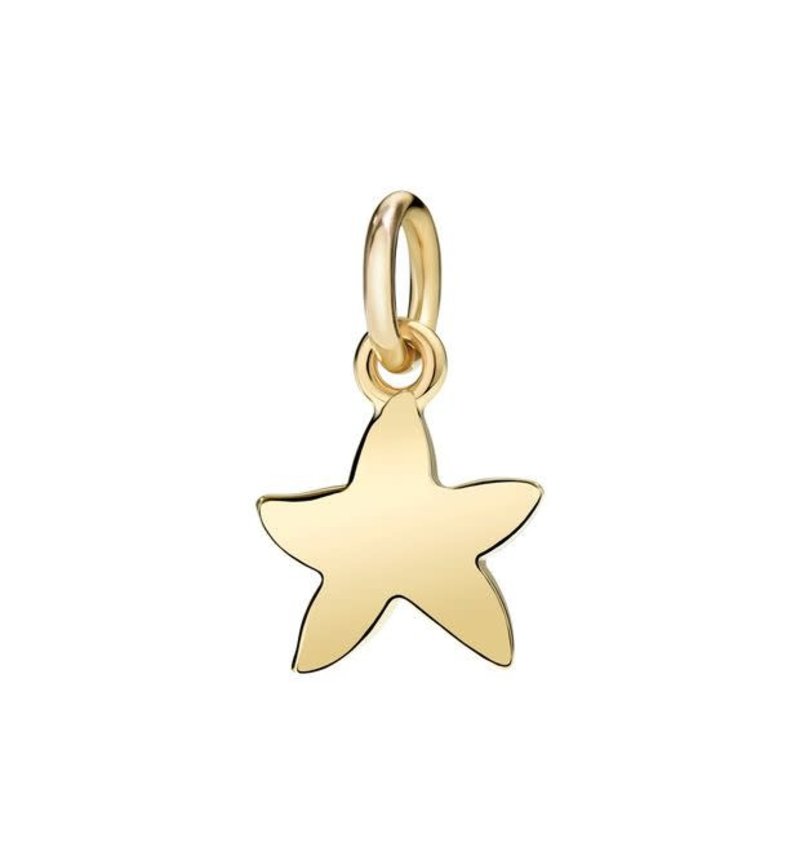 DODO Small Starfish Charm