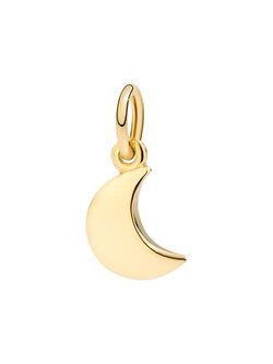 DODO Small Moon Charm
