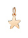 DODO Rose Gold Starfish Charm