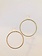 SHANNON JOHNSON Gold Signature Hoops