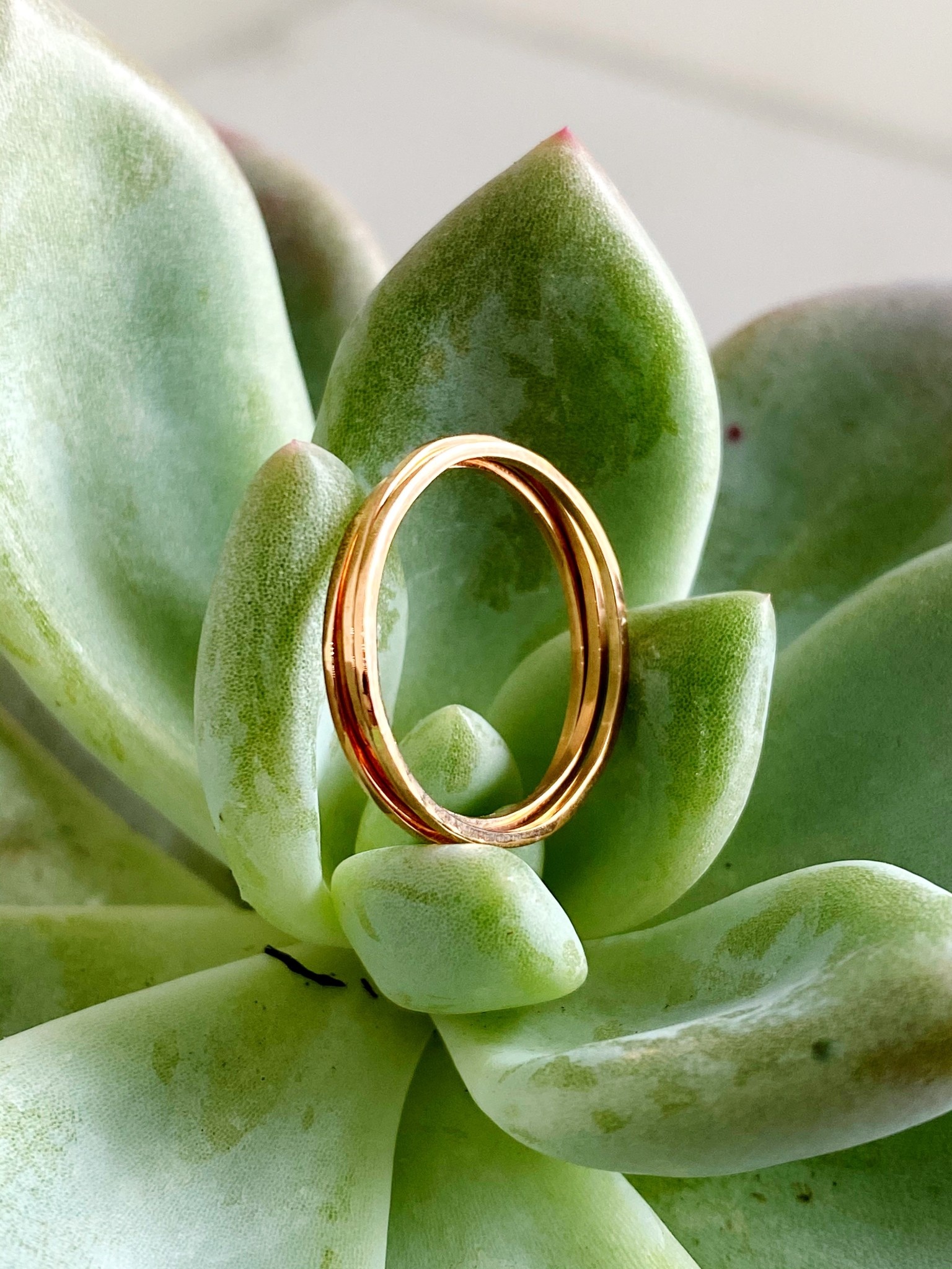 SHANNON JOHNSON Set of 3 Thin Rings - Rose Gold