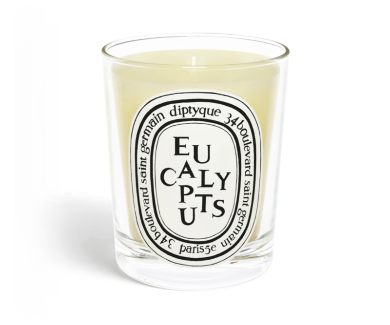 DIPTYQUE Eucalyptus Candle