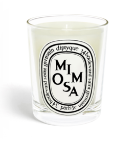 DIPTYQUE Mimosa Candle