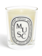 DIPTYQUE Musc Candle 6.5 oz