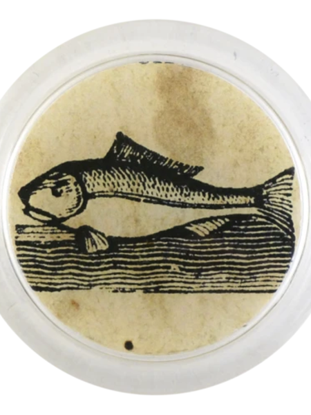 JOHN DERIAN Iconic Fish Coaster