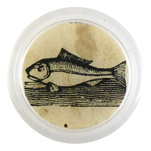 JOHN DERIAN Iconic Fish Coaster