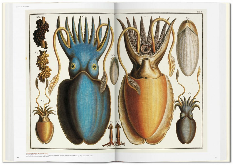 TASCHEN Seba Cabinet of Natural Curiosities