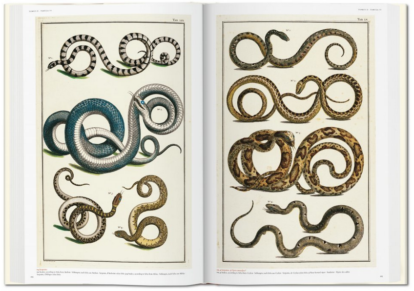 TASCHEN Seba Cabinet of Natural Curiosities