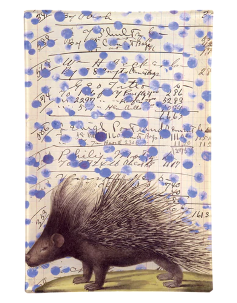 JOHN DERIAN Porcupine 6 x 9" Rectangle Tray