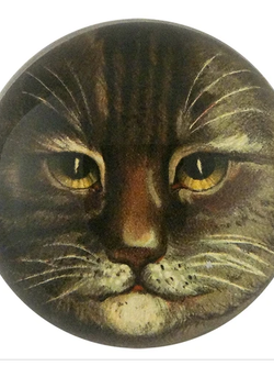 JOHN DERIAN Country Cat (Brown) Paperweight