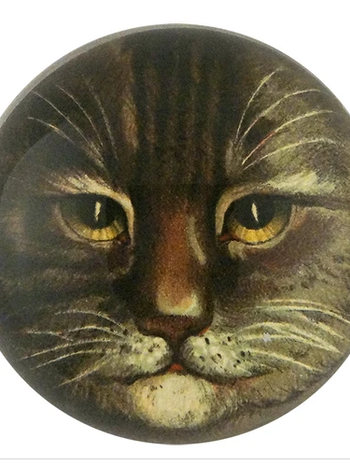 JOHN DERIAN Dome Paperweight -  Country Cat (Brown)