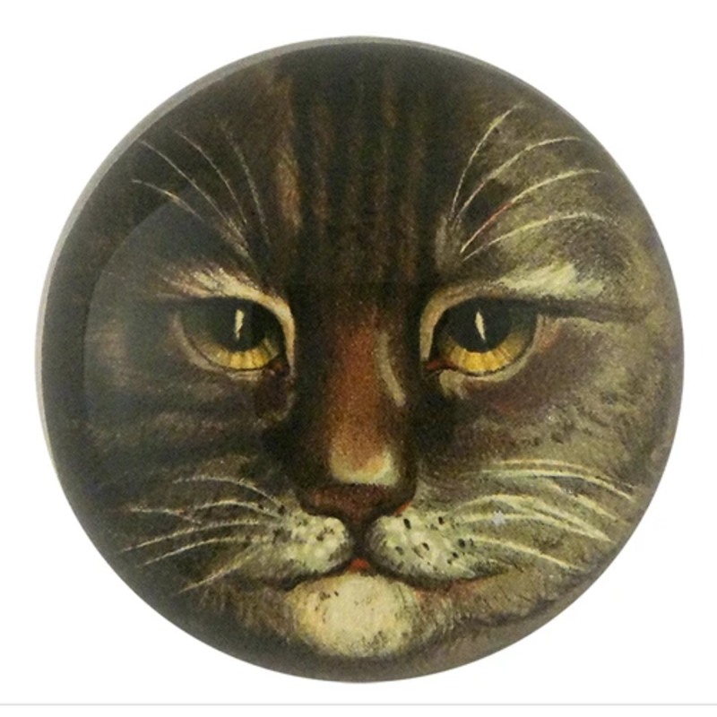 JOHN DERIAN Dome Paperweight -  Country Cat (Brown)