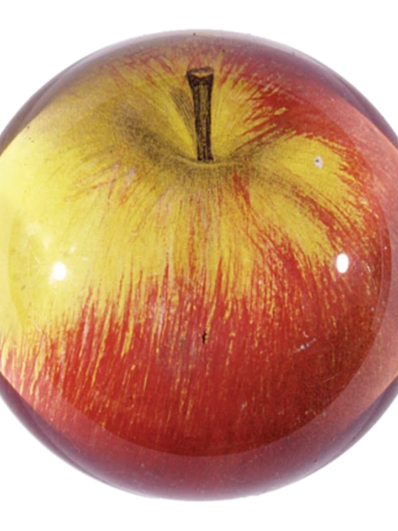 JOHN DERIAN Dome Paperweight -  Apple (Red)
