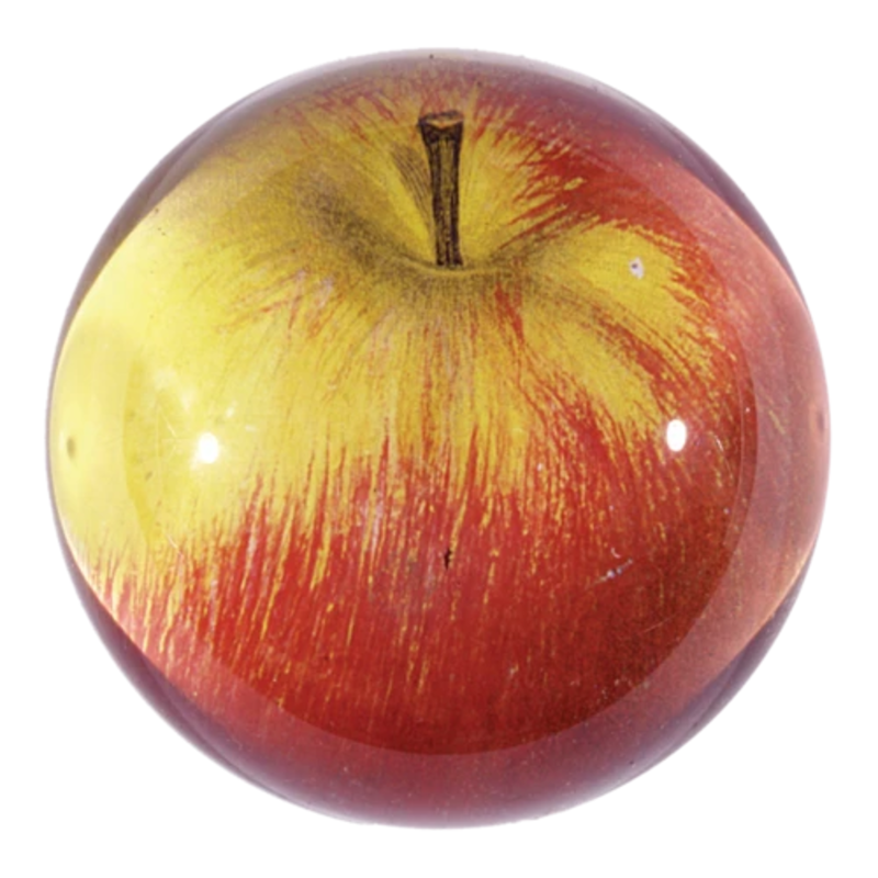 JOHN DERIAN Dome Paperweight -  Apple (Red)