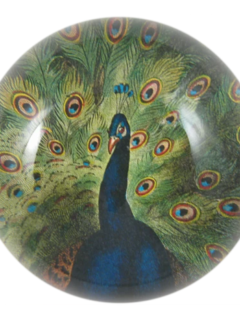 JOHN DERIAN Dome Paperweight -  Peacock Close-Up