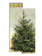 JOHN DERIAN John Derian Co. Matches - Gold Foil Christmas Trees