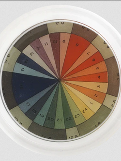 JOHN DERIAN Color Wheel Coaster