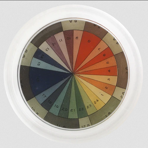 JOHN DERIAN Color Wheel Coaster