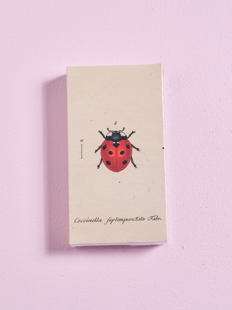 JOHN DERIAN John Derian Co. Matches - Lady Bug