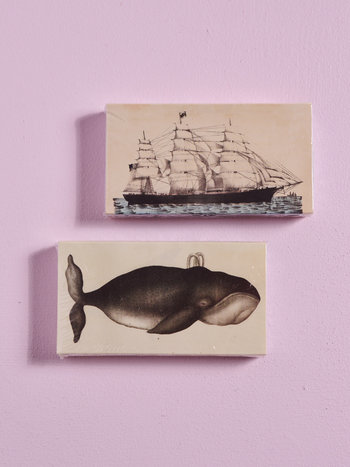 JOHN DERIAN John Derian Co. Matches - Whale & Clipper Ship