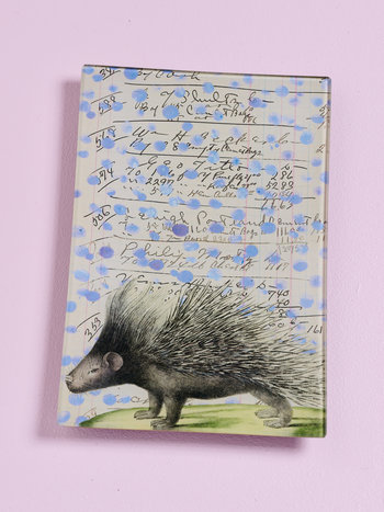 JOHN DERIAN Porcupine
