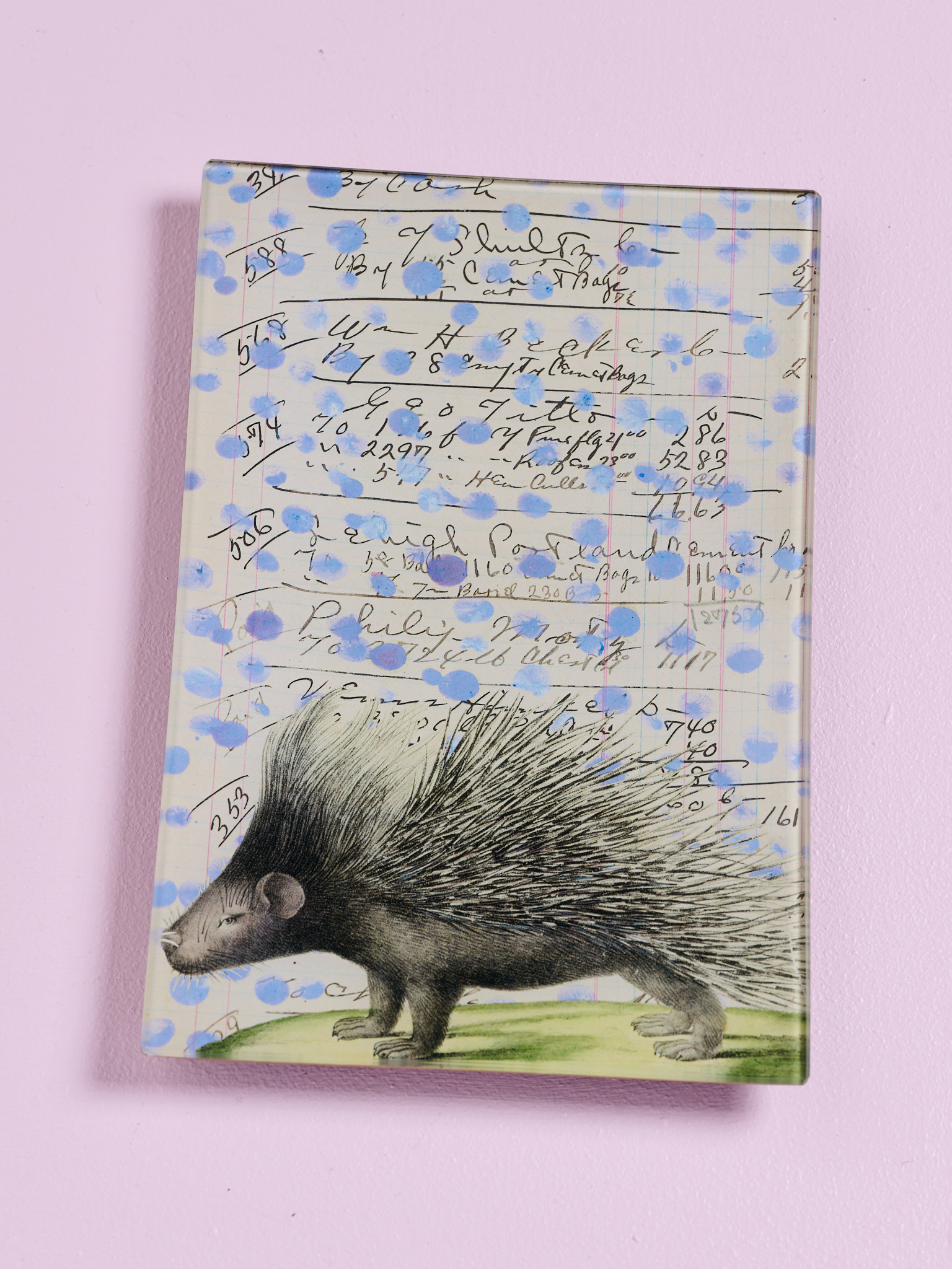 JOHN DERIAN Porcupine
